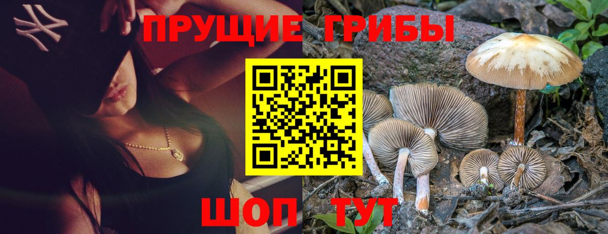 Галлюциногенные грибы Psilocybe  Псилоцибиновые грибы GOLDEN TEACHER  Орехово-Зуево  Вход с VPN 