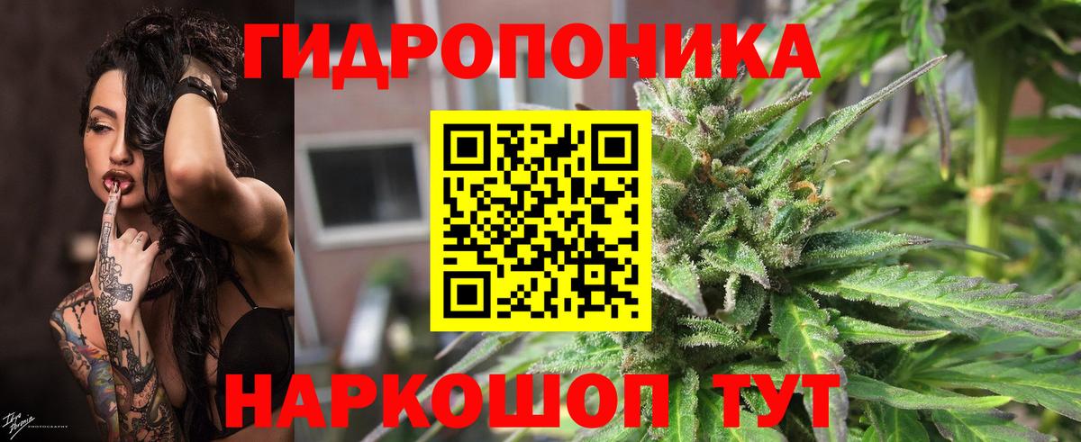 Марихуана SATIVA & INDICA  Вход с VPN  Канабис гибрид  Орехово-Зуево  Бошки Шишки VHQ 